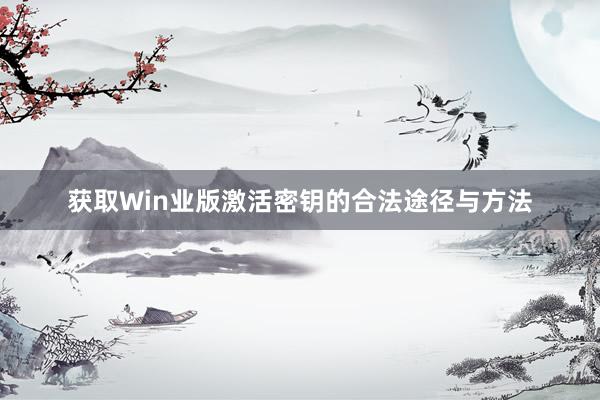 获取Win业版激活密钥的合法途径与方法